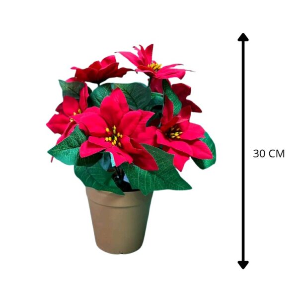 FLOR DE PASCUA ROJA EN MACETA 30 CM