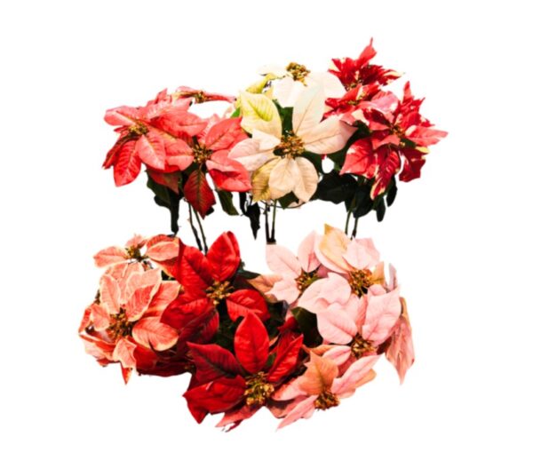 RAMO DE 5 FLORES 6 COLORES SURTIDOS