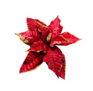 FLOR DE PASCUA ROJO