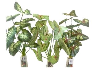 PLANTA VERDE SURTIDA X 12