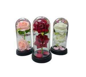 CUPULA DE ROSA CON LUZ (3 COLORES)