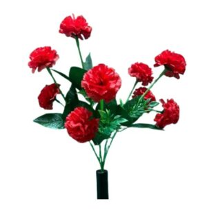 RAMO CLAVEL X5