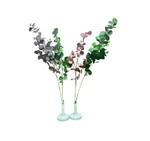 FOLLAJE DE EUCALIPTO (4 COLORES)
