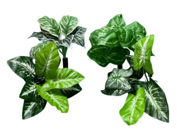 PLANTITAS VERDES