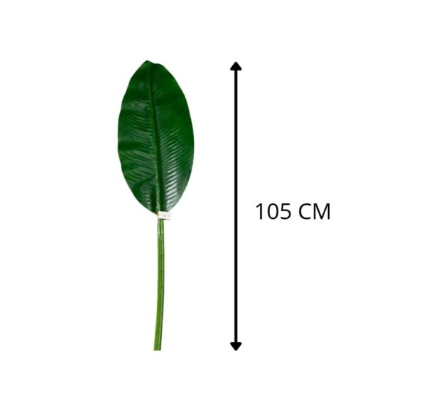 HOJA 105 CM