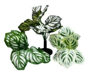 PLANTITAS VERDES X12
