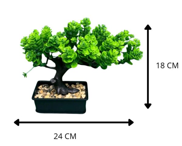 BONSAI