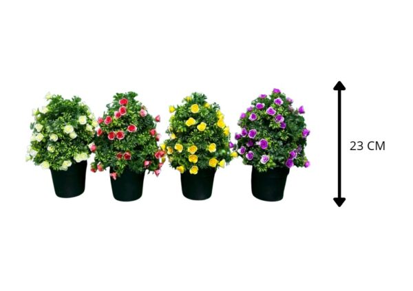 PLANTA CON BASE 4 COLORES