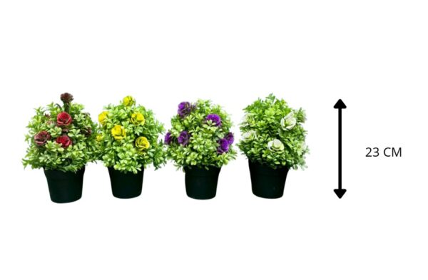 PLANTAS CON BASE 4 COLORES