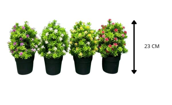 PLANTAS CON BASE 4 COLORES DE 23 CM