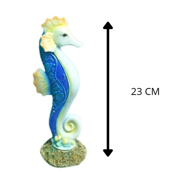 CABALLO DE MAR 9X23 CM
