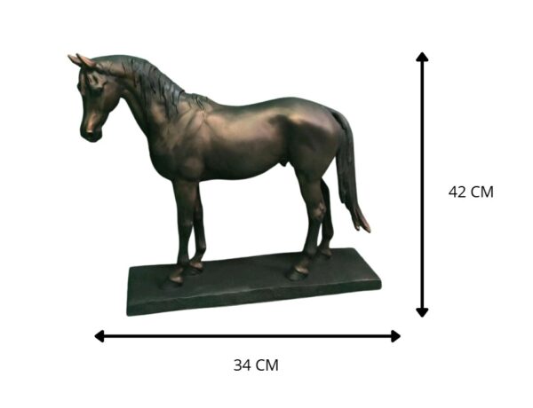 CABALLO 34X42 CM