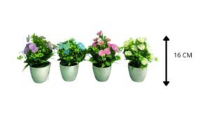 BONSAI *4 COLORES