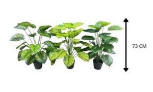 PLANTA CON BASE 73 CM SURTIDO 3 MODELOS