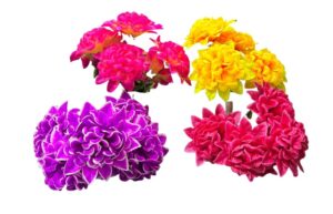 RAMO DALIA X 5 SURTIDO 4 COLORES