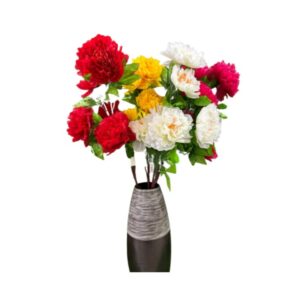 VARA DE PEONIA X 5 (SURTIDO)