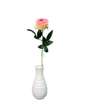 ROSA 1 COLOR ROSADO