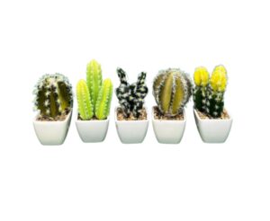CACTUS CON MACETA 12 PZAS