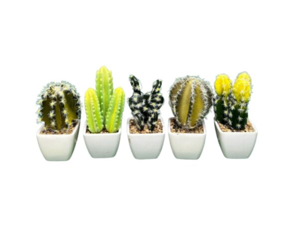 CACTUS CON MACETA 12 PZAS