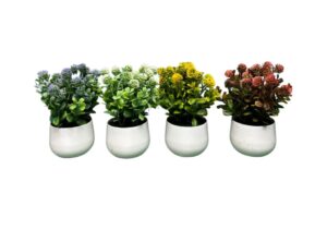 PLANTAS CON MACETA 4 COLORES