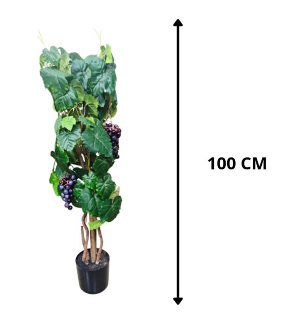 PLANTA UVA 100 CM