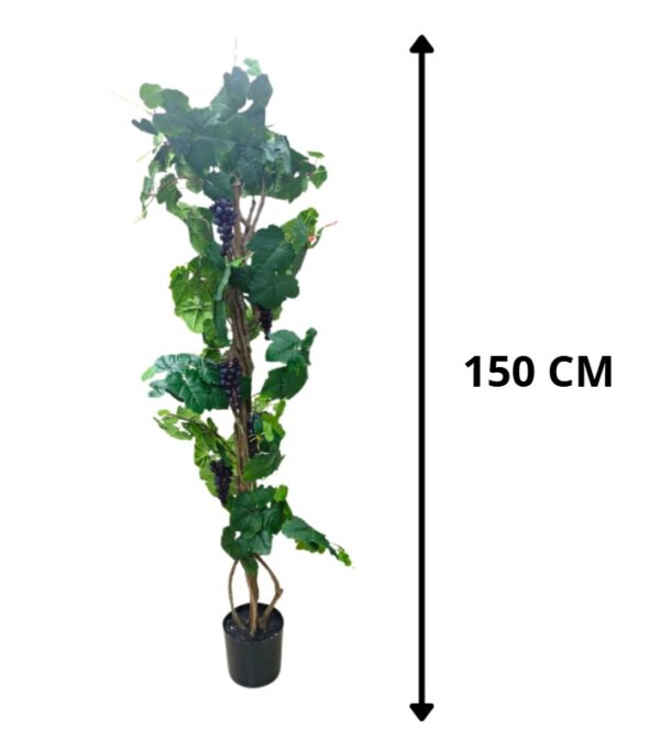 PLANTA UVA 150 CM