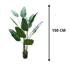 PLANTA BIJAO 150 CM