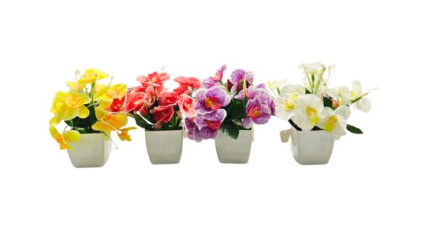 ORQUIDEAS CON MACETAS BLANCAS