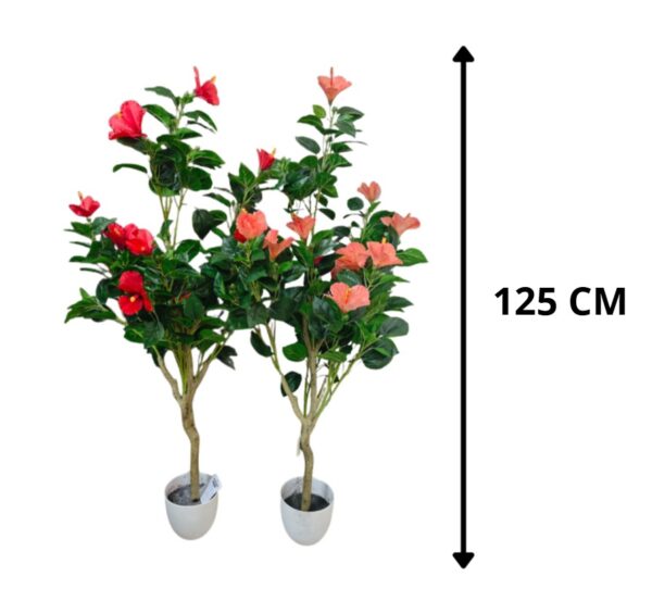 PLANTA DE HIBISCUS CON MACETA BLANCA