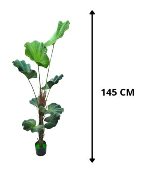 PLANTA FILODENDRO 145 CM