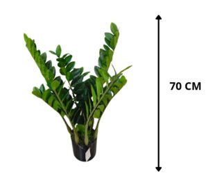 PLANTA CON MACETA 70 CM