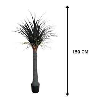 PLANTA PATA DE ELEFANTE 150 CM