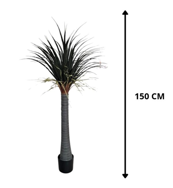 PLANTA PATA DE ELEFANTE 150 CM