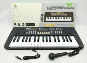 ÓRGANO ELECTRÓNICO CON MICROFONO