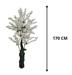 CEREZO BLANCO 170 CM