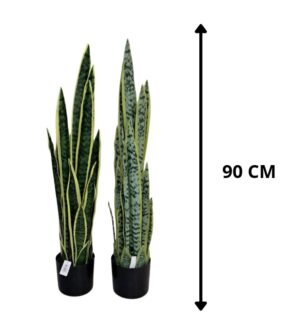 LENGUA DE SUEGRA 90 CM