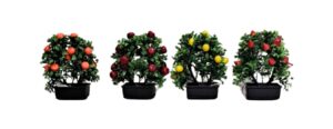 BONSAI DE FRUTAS