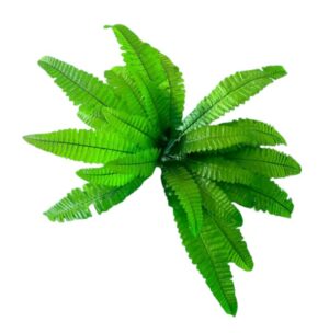 RAMO DE HELECHO 24 HOJAS