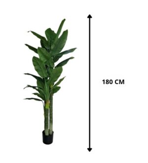 PLANTA DE BANANO 180 CM