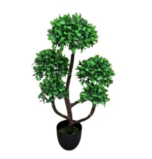 BONSAI PLANTA 90 CM