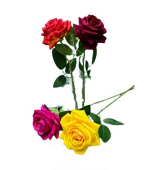 BARA DE 1 ROSA 4 COLORES