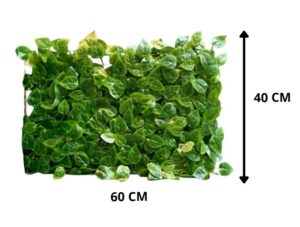 CUADRO DE HOJAS 40X60 CM