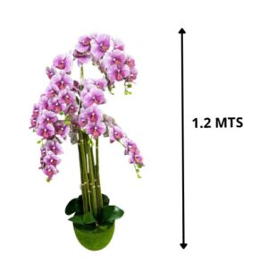 ORQUIDEA 1.2M MORADO