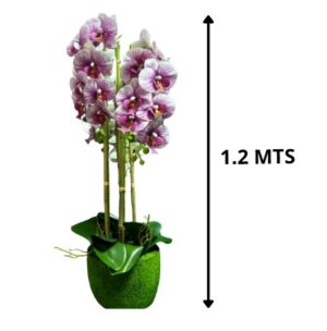 ORQUIDEA 1.2M MORADO
