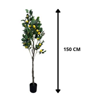 ARBOL DE LIMÓN CON POTE 1.5M